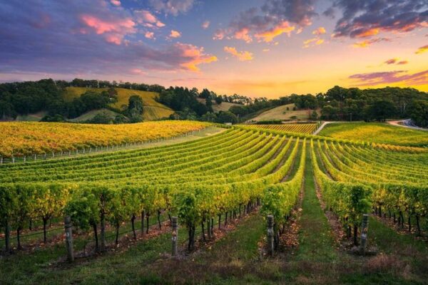 Barossa Valley