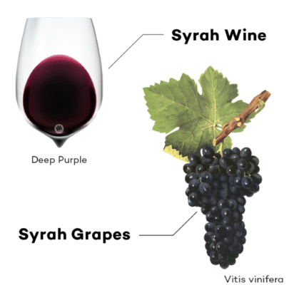 Shiraz/Syrah Là Gì
