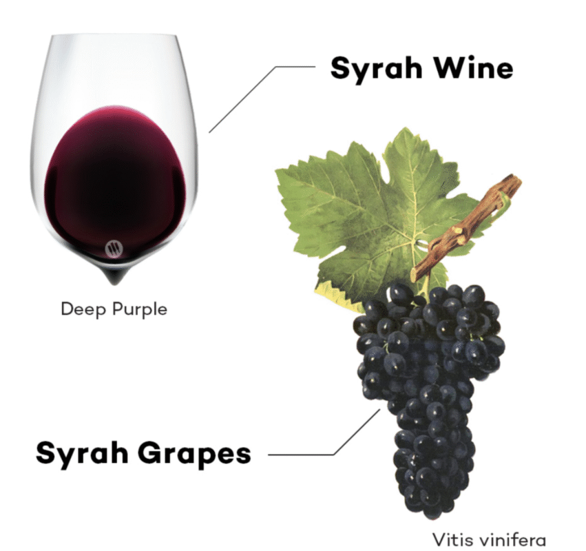 Shiraz/Syrah Là Gì