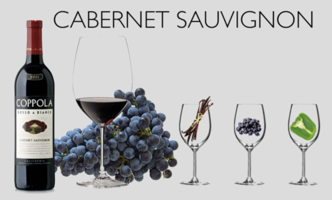 Lịch sử và nguồn gốc của Cabernet Sauvignon 