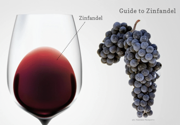 Giới thiệu tổng quan về Primitivo và Zinfandel
