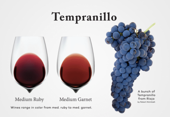Giới thiệu tổng quan về nho Tempranillo