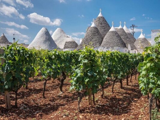 Vùng Puglia, Ý – quê hương của Primitivo