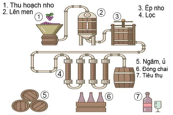 Quy trình sản xuất rượu vang Primitivo/Zinfandel