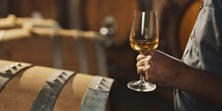 Pinot Grigio mang phong cách khô, tươi mát với hương táo xanh, chanh và lê