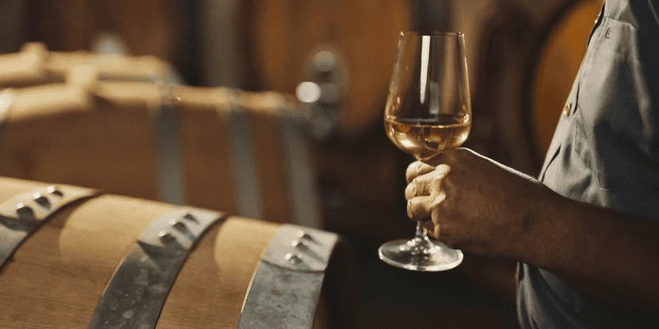 Pinot Grigio mang phong cách khô, tươi mát với hương táo xanh, chanh và lê