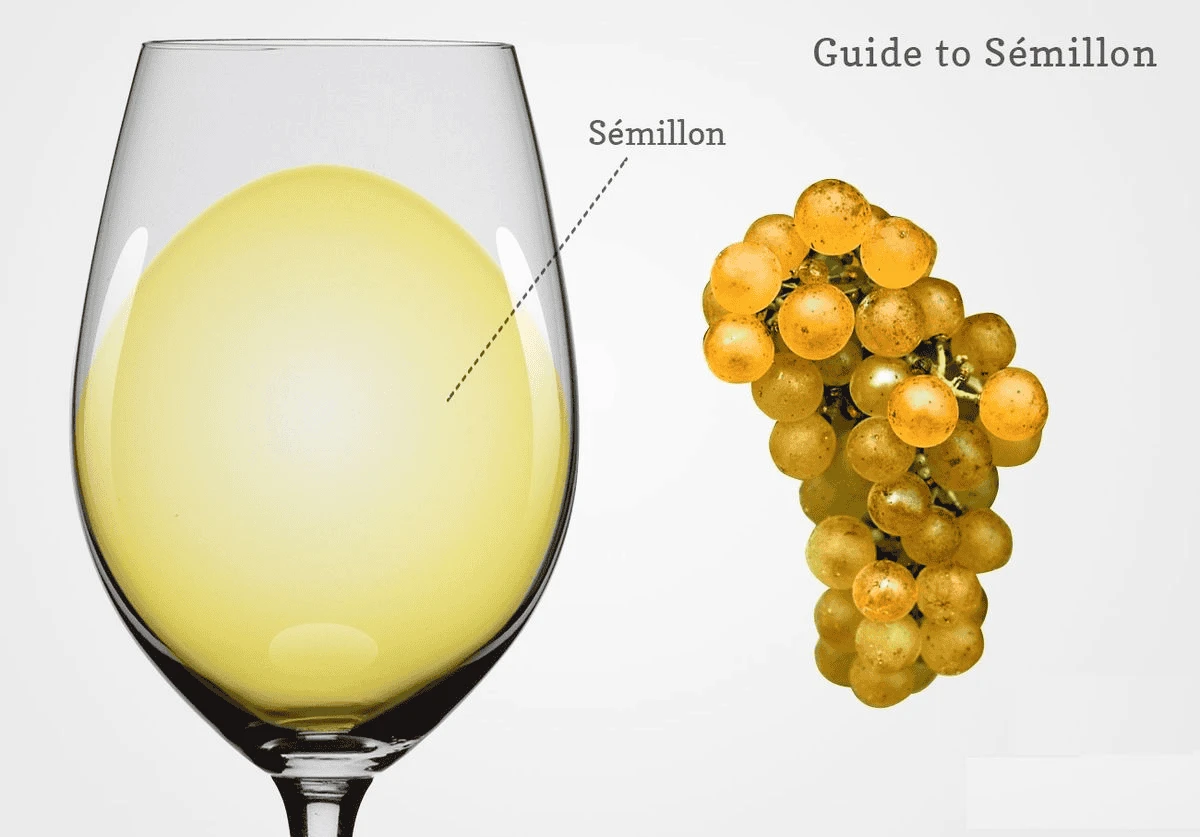 Chenin Blanc Giống Nho Vang Trắng Đa Phong Cách Từ Pháp