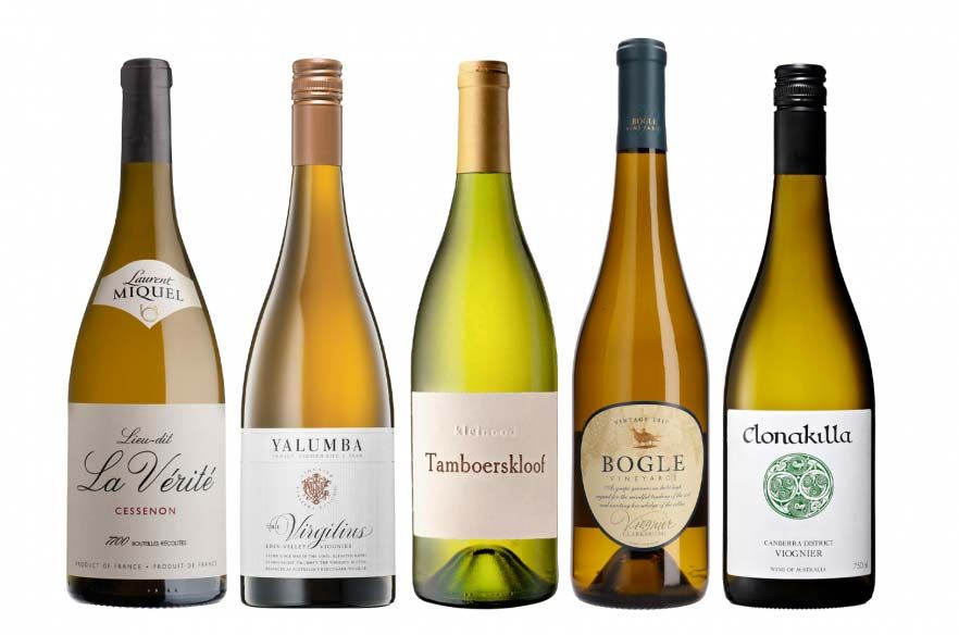 Viognier: Giống Nho Hương Trái Cây Khó Trồng Bậc Nhất
