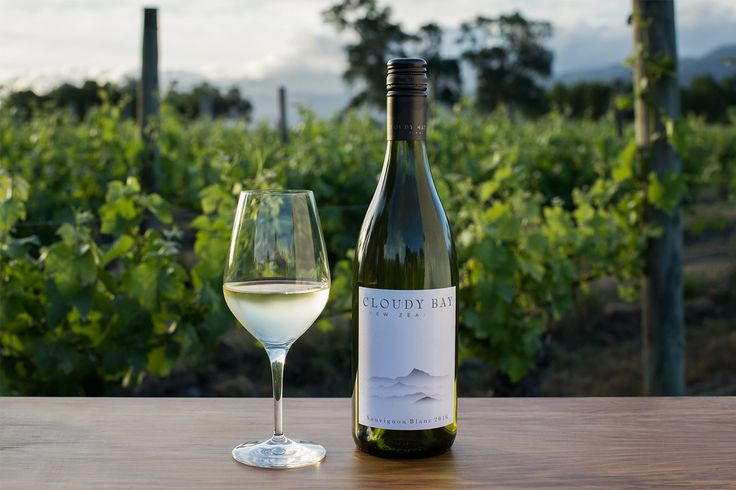 Sauvignon Blanc: Tinh Hoa Vang Trắng Thế Giới