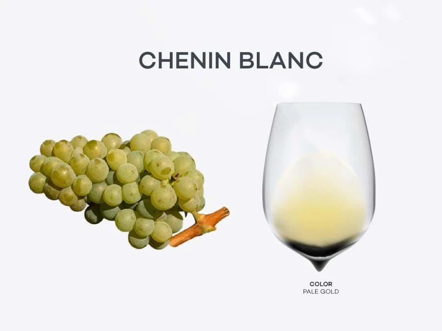 Chenin Blanc Giống Nho Vang Trắng Đa Phong Cách Từ Pháp