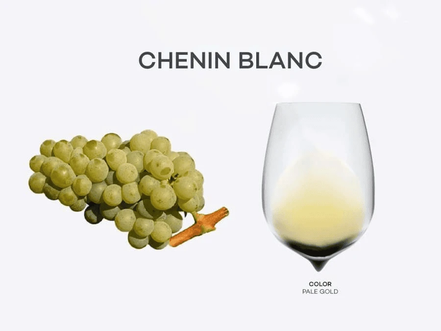 Chenin Blanc Giống Nho Vang Trắng Đa Phong Cách Từ Pháp