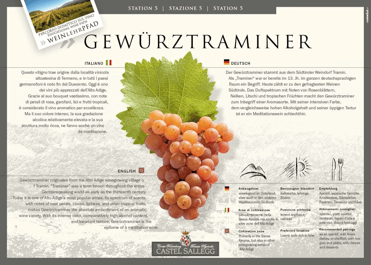 Gewürztraminer Giống Nho Vang Trắng Độc Đáo Từ Tramin