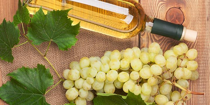 Viognier: Giống Nho Hương Trái Cây Khó Trồng Bậc Nhất