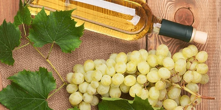 Viognier: Giống Nho Hương Trái Cây Khó Trồng Bậc Nhất