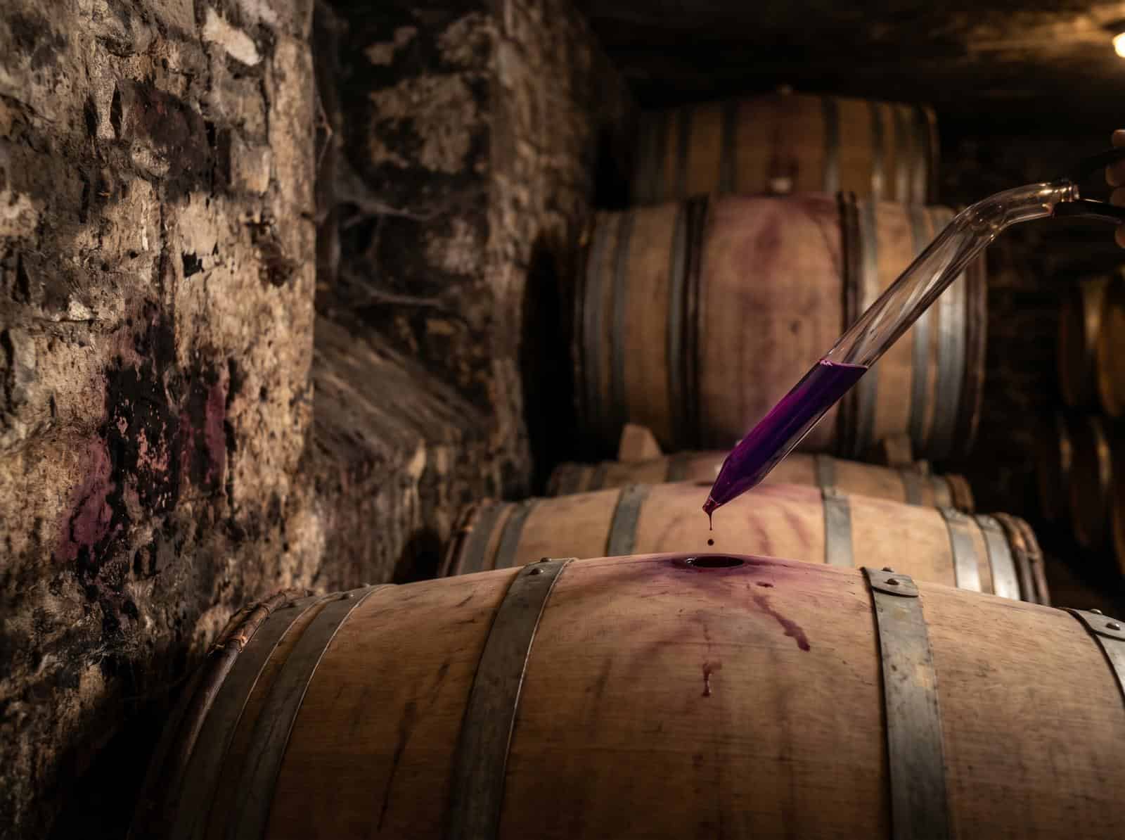 Syrah ủ oak barrel cellar Northern Rhone foudre French oak