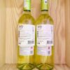 Mặt sau chai rượu vang 1887 Sauvignon Blanc