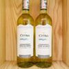 Chai rượu Vang Citra Chardonnay Terre Di Chieti