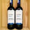 Chai rượu vang Citra Primitivo Terre D'Abruzzo
