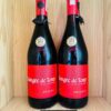 Chai rượu vang Sangre de Toro Original