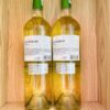 Mặt sau chai rượu vang trắng San Marino Sauvignon Blanc 2023