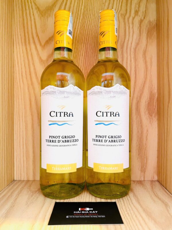 Chai rượu vang Citra Pinot Grigio Terre D'Abruzzo